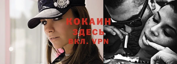 apvp Аркадак
