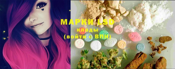 apvp Аркадак