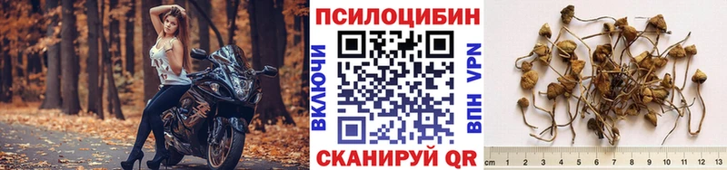 Псилоцибиновые грибы мухоморы Барабинск